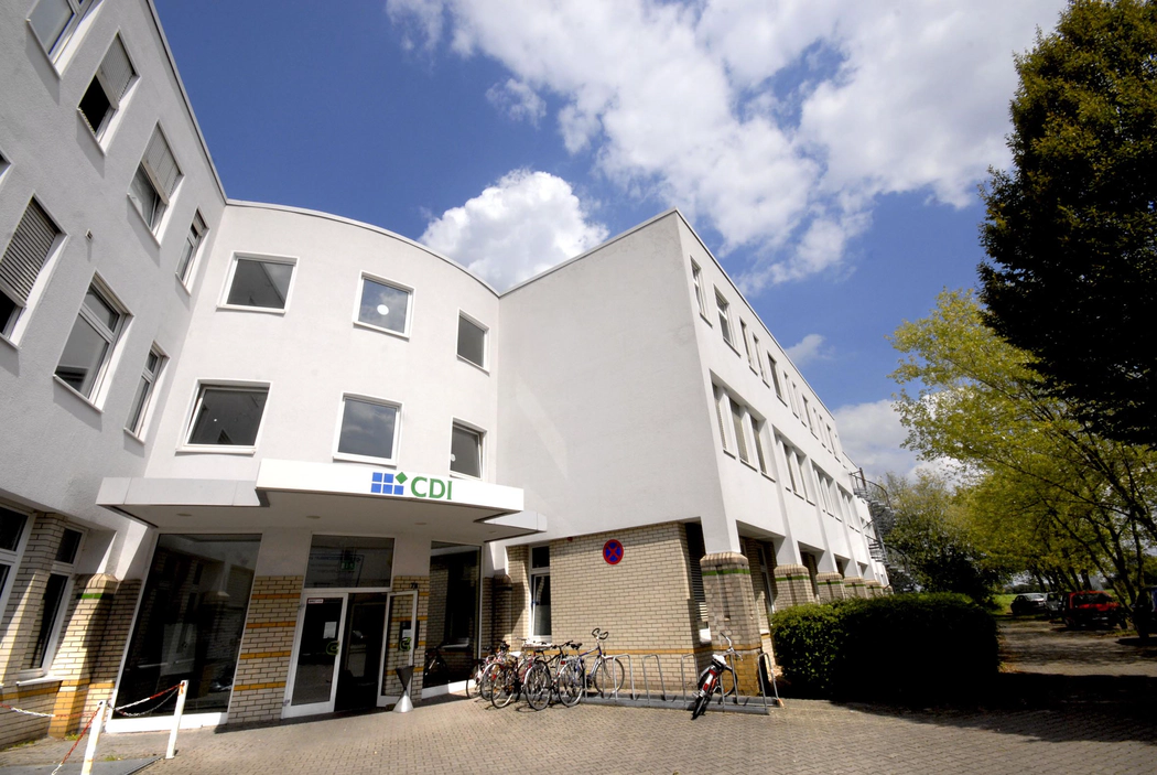 Center for Research on Education and School Development (IFS)