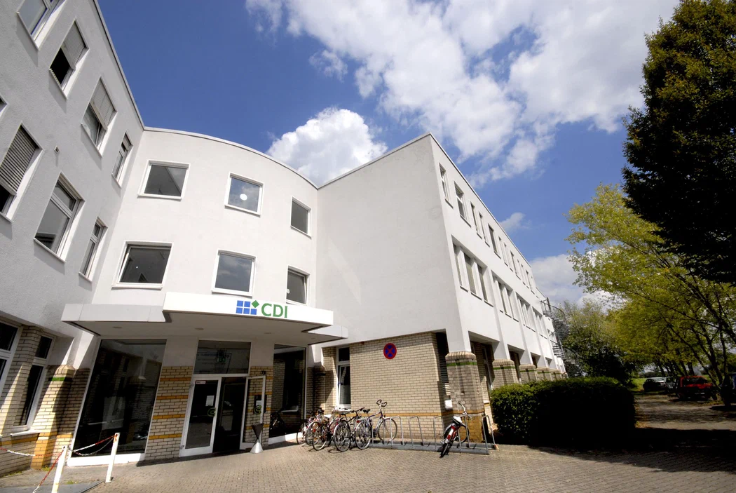 Center for Research on Education and School Development (IFS)