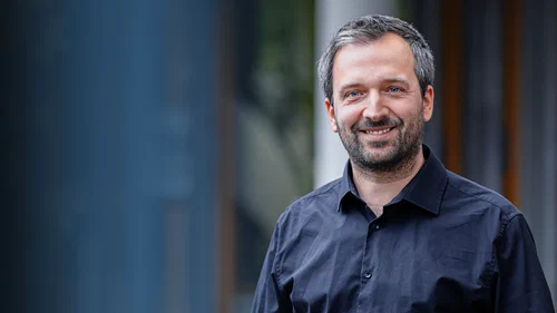 What are the Strategies pursued by Platforms, Buyers and Sellers in the Online …