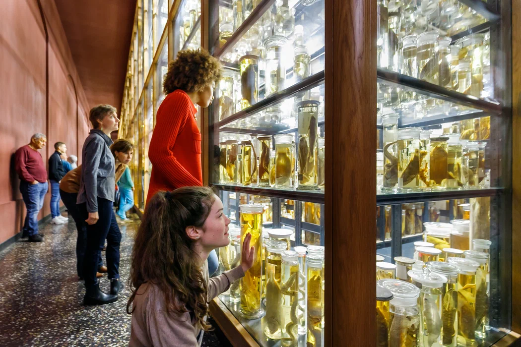 Museum für Naturkunde - Leibniz Institute for Evolution and Biodiversity Science