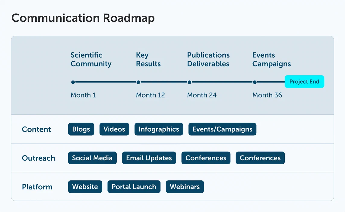 Communication and dissemination strategy visual