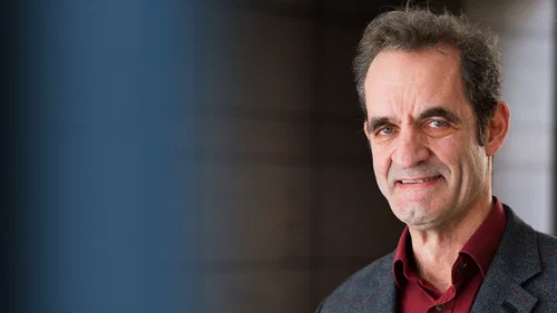 Which Chemical Traits Protect the Roots of Dandelions Against Insect Damage? Cover