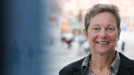 How Is Genetic Variance Maintained Through Sexual Selection? Cover