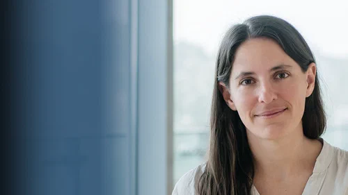 What Is The Relationship Between Sea Grasses And The Microbial Communities That Live In …