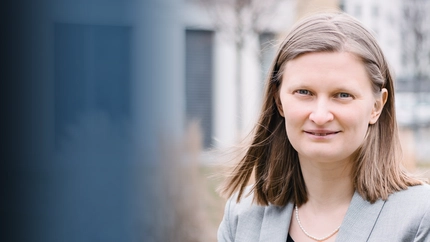 Can a Single Model Explain Different Functions of the Human Brain? Cover