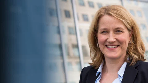 How Do Forest Trees Defend Themselves Against Insects Under Natural Conditions and Is This …