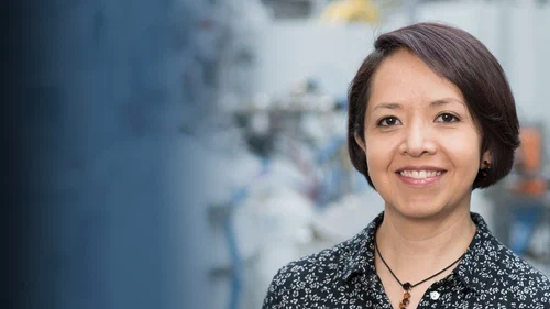 How Does Hydrogen Affect the Mechanical Behavior of Metals and Alloys? Cover